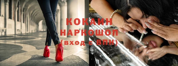 бошки Корсаков