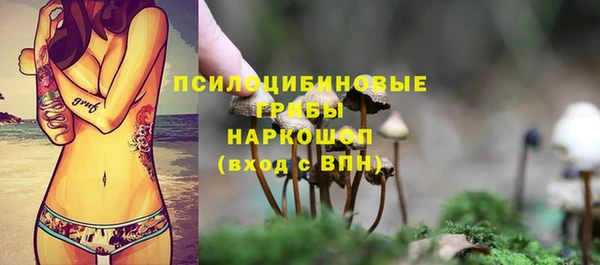 бошки Корсаков