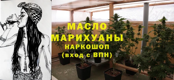 гидра Коряжма