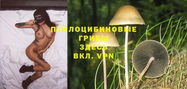 гидра Коряжма