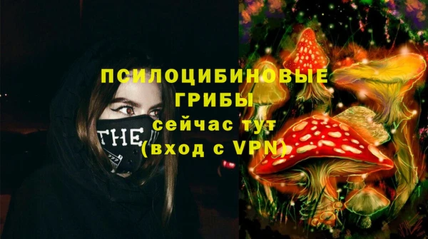 бошки Корсаков