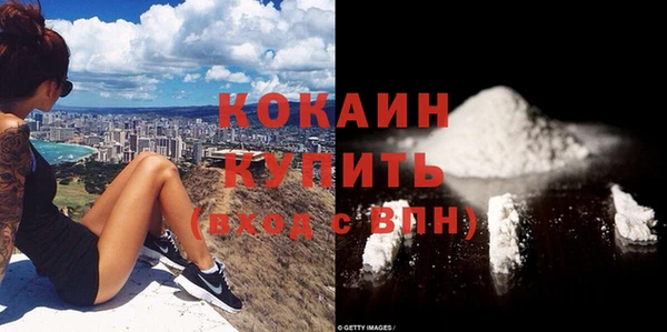 гидра Коряжма
